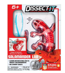 Dissect-It Frog Salamander