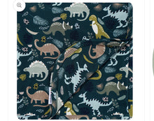 Load image into Gallery viewer, Prehistoric Friends Dinosaur Bamboo Blanket