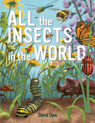 All the Insects in the World Hardcover Book