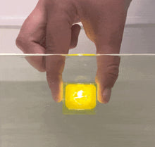 Load image into Gallery viewer, Yellow Alex light up glo cube sensory toy lighting up  when held under water. 