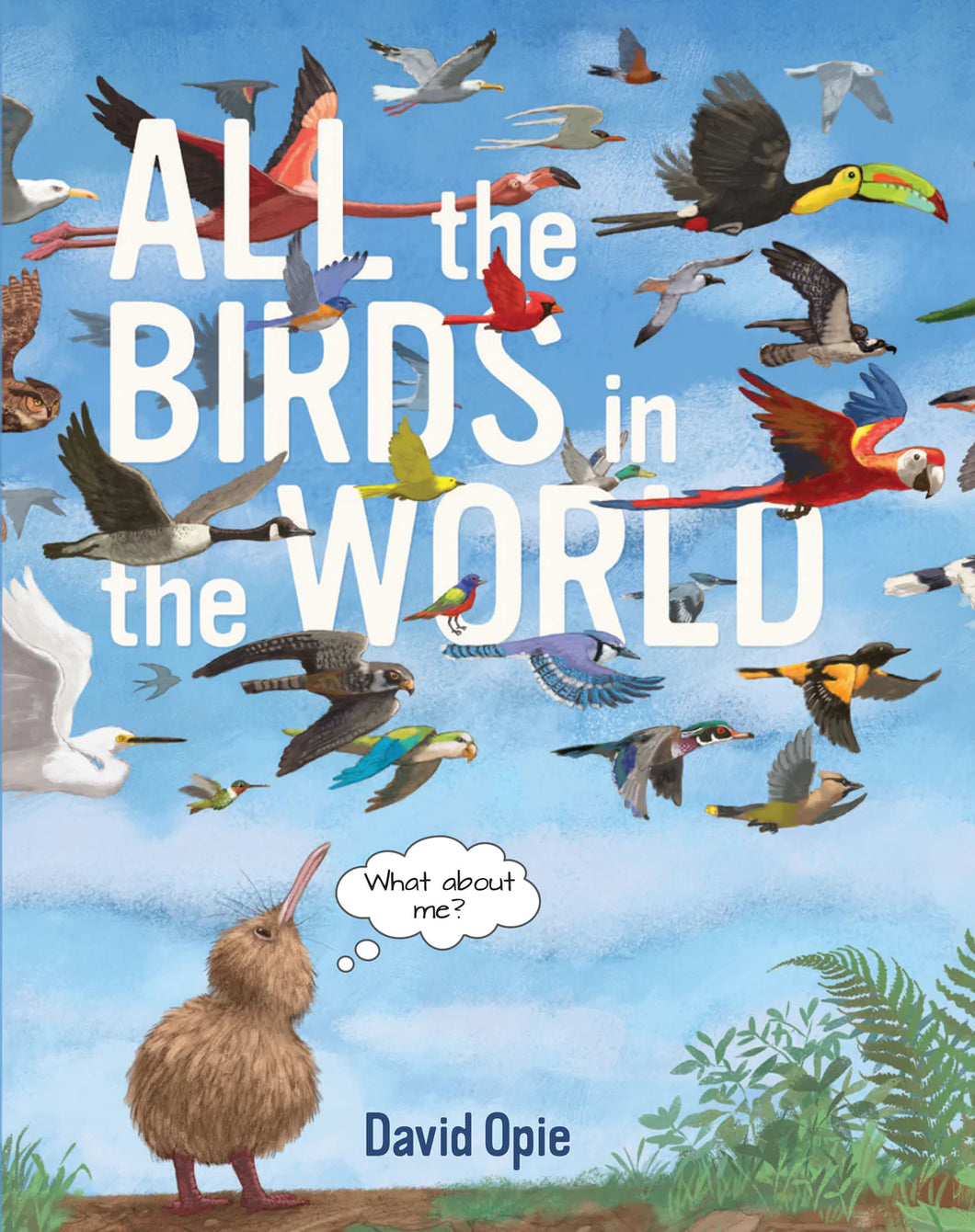 All the Birds in the World Hardcover picture book