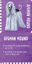 Load image into Gallery viewer, Front and back image of Kids Lunch Box card Afghan Hound dog facts