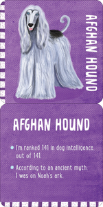 Front and back image of Kids Lunch Box card Afghan Hound dog facts