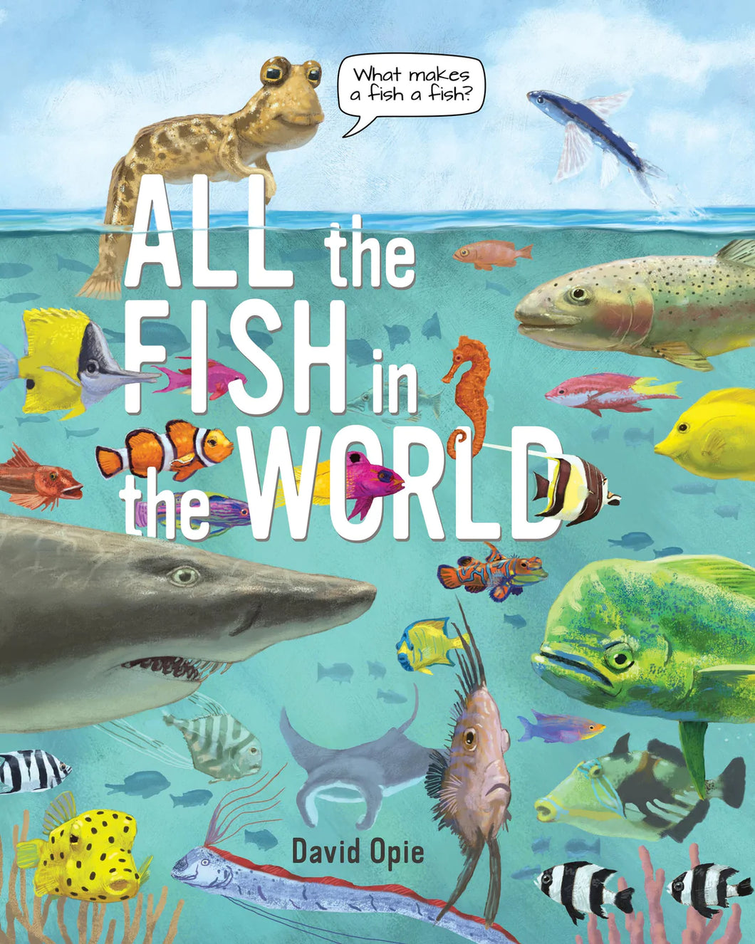 All the Fish in the World Hardcover Picture Book