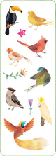 Load image into Gallery viewer, Birds Sticker Set